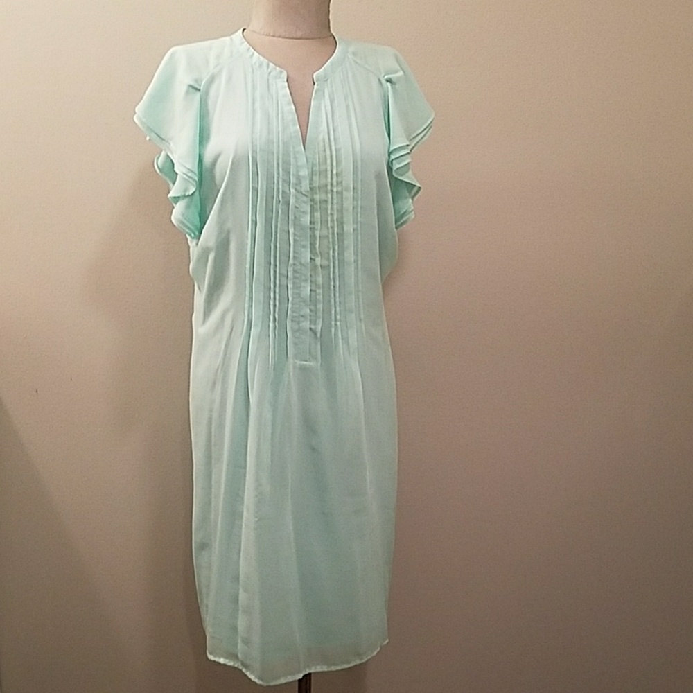 "C" size large light green dress.